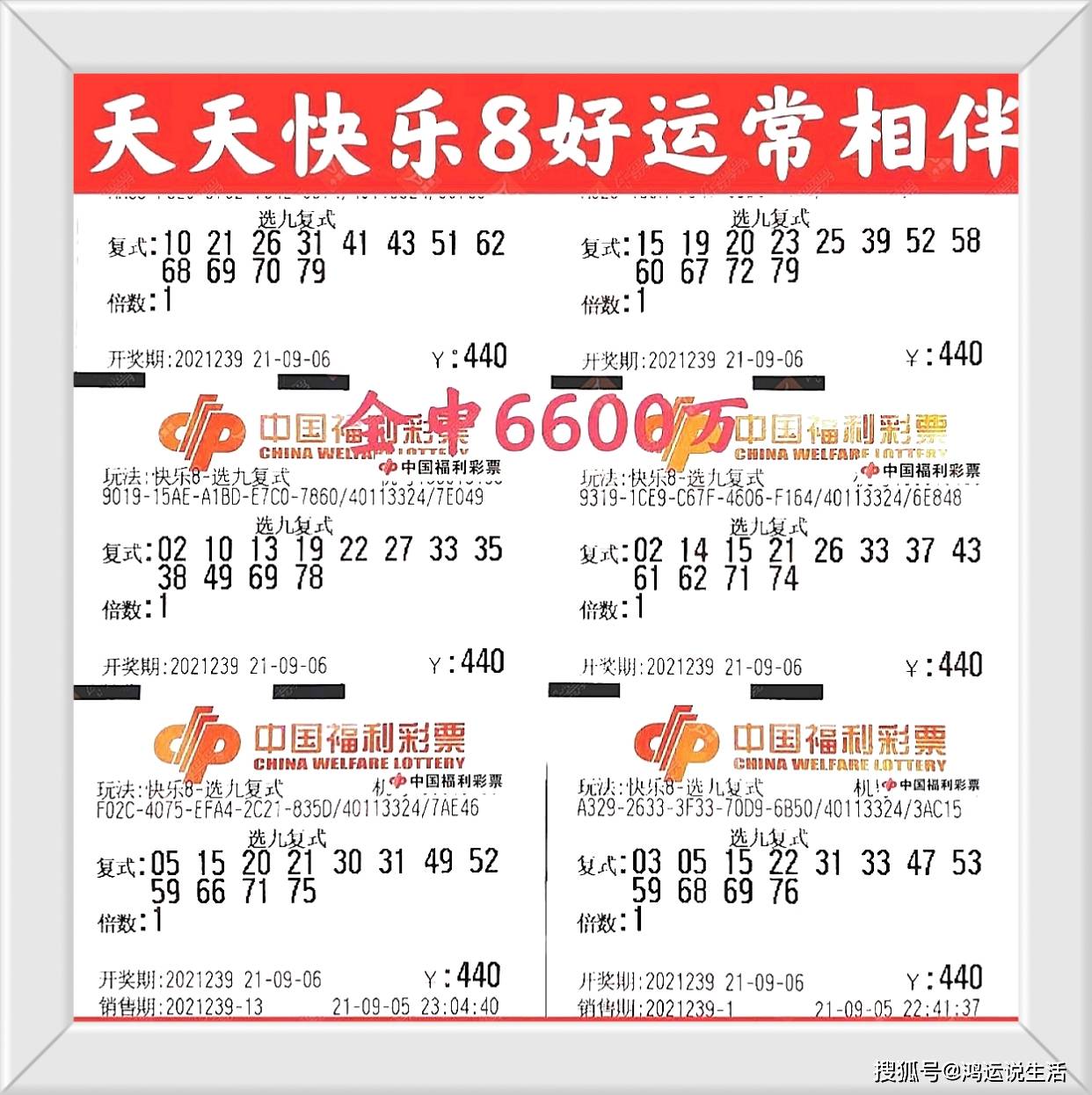 二四六天天彩资料大全网，探索数字与幸运的交汇点，揭示中奖秘诀！二四六天天彩资料大全网下载