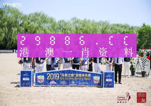 203年澳门全年资料免费大全，探索与分享的旅程开启！2023澳门全年资料免费大全246