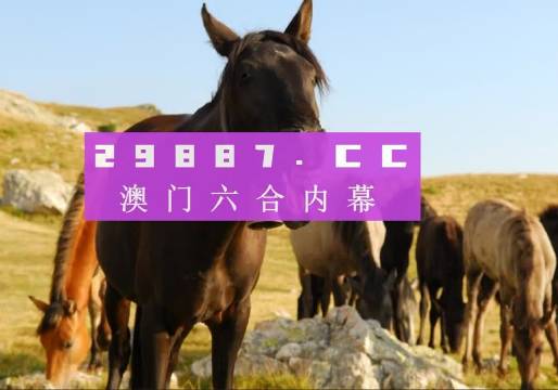 203年澳门管家婆资料正版大全，揭秘与解析的全面指南澳门一码一码100准确高速解