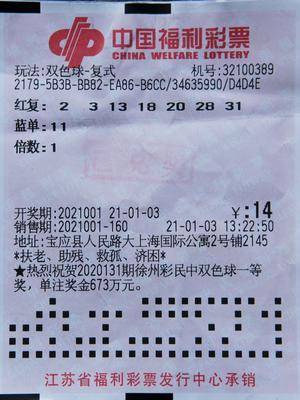澳门彩民的福音，2048年全新升级版免费大全解析与展望未来趋势分析报告2024澳门精准正版免费大全284期