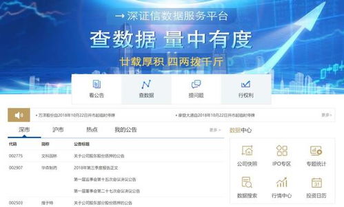 2048正版资料大全免费，全面解析与实用指南的探索之旅！你的最佳助手，助你轻松掌握所需信息。2024正版资料大全免费早春二月柳叶唾是什么意思