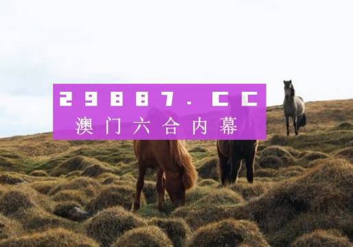 职业选择 第19页