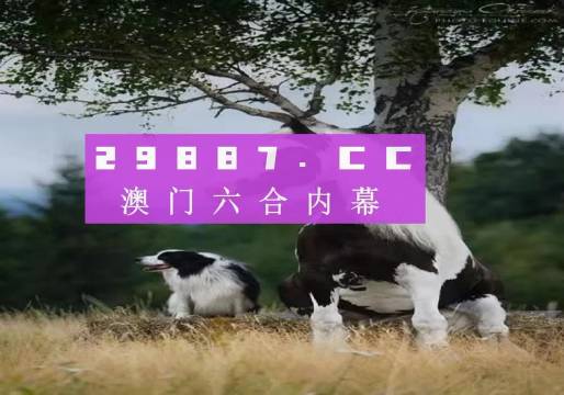 2023澳门正版资料免费大全49