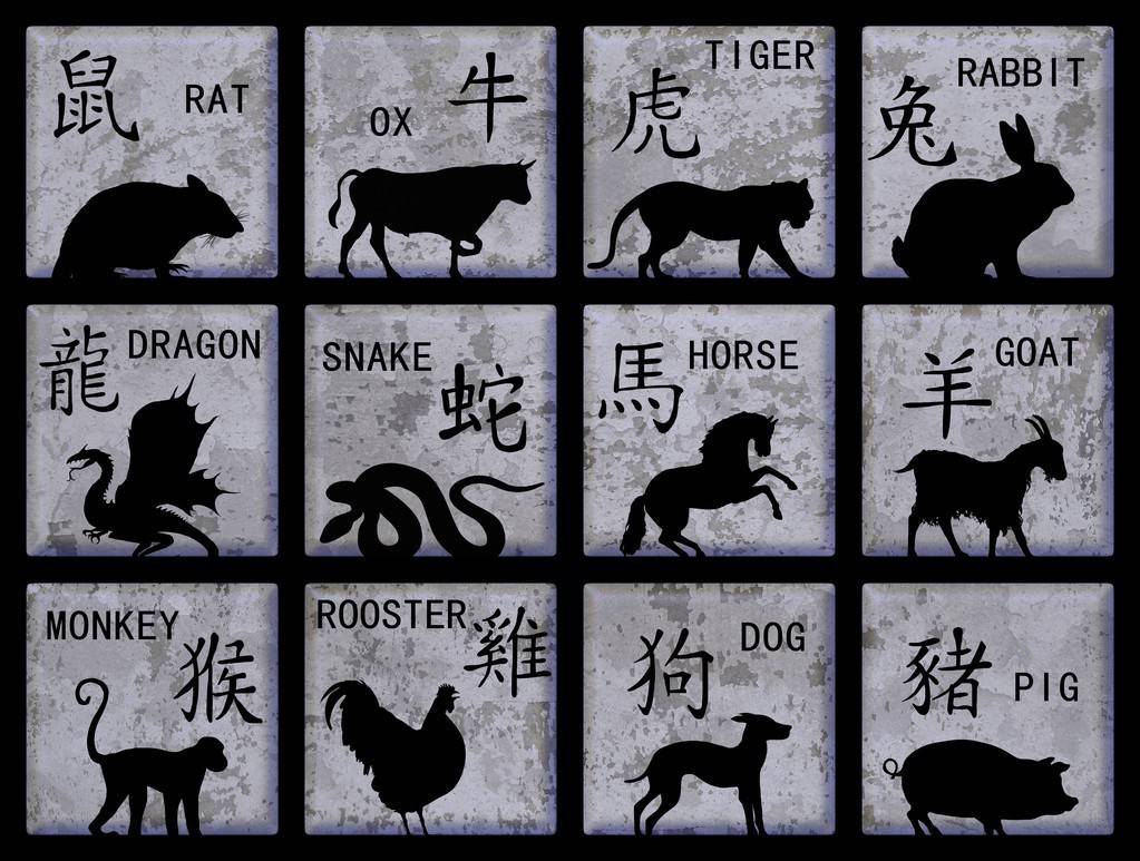 四肖三期内必出一生肖的奥秘
探索与解析过程揭秘！注，strong>为关键词）