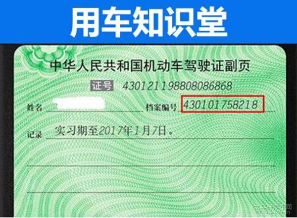 二四六天好彩免费资料大全，探索数字背后的幸运奥秘与实用指南！二四六天好彩(944cc)