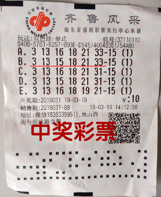 2019年香港开奖记录，揭秘那些令人心动的中彩时刻与结果分析报告2019香港开奖记录开奖结果查询