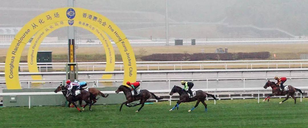 2019香港马会全年资料大全，赛驹风采、赛事回顾与精彩瞬间一览无余！