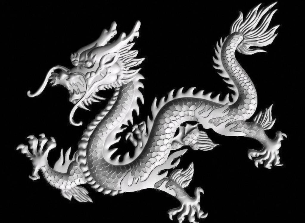 澳门特马开奖揭秘，2048年与53期之谜的探索之旅2024澳门特马今晚开奖53期,什么动物