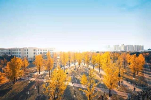 市场营销的内涵与作用专业市场营销是做什么的