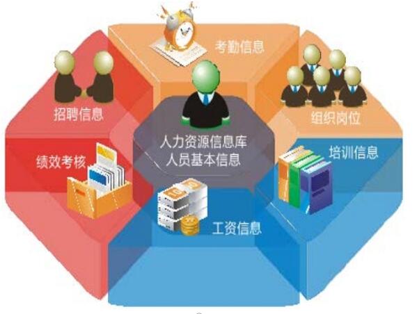 HR人力资源系统的应用与价值hr人力资源系统登录