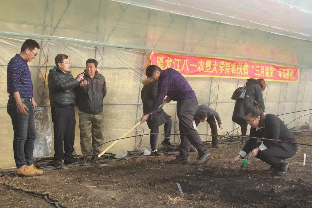三江人才网官网入口—求职招聘的便捷之选三江人才网官网入口登录