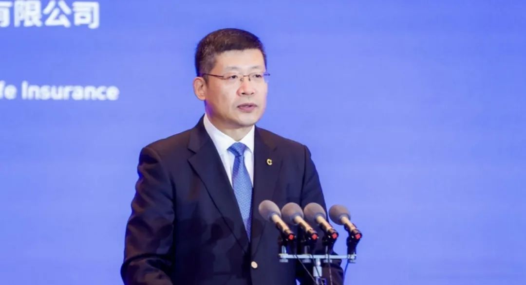 中国人寿再保险董事长正式就任，新篇章的开启与展望分析中国人寿再保险董事长落定了吗