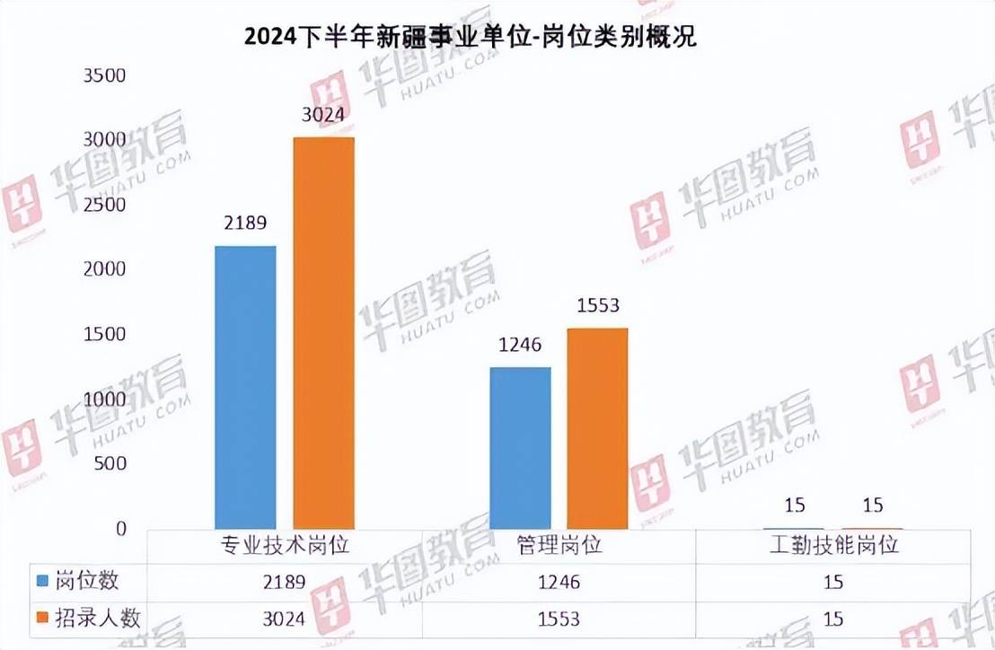 20XX年新疆事业编制招聘岗位表解析与展望—机遇、挑战与发展共存的新篇章开启！2024新疆事业编制招聘岗位表公布