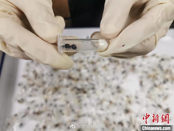 石家庄兼职招聘，日结工资，轻松赚钱新选择！石家庄兼职招聘工资日结邮局