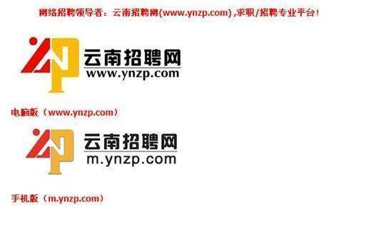 云南人才招聘信息网官网