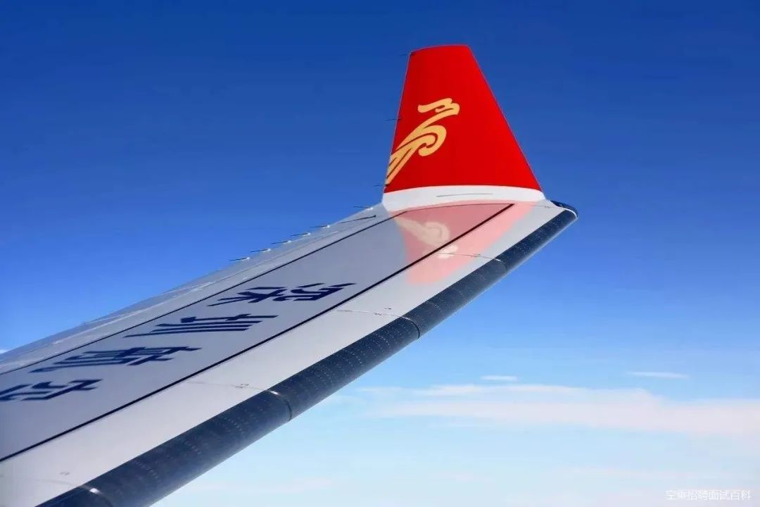 深圳航空，翱翔天际的翅膀深圳航空值机