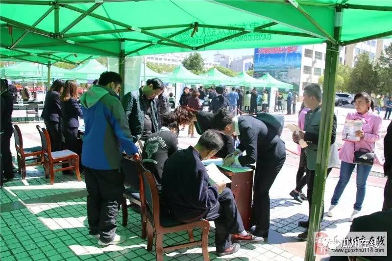 龙港人力资源网—助力企业与人才的桥梁龙港市人力资源