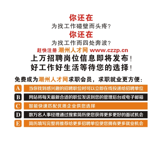 临沂市人才招聘信息网官网，求职者的新选择临沂市人才招聘信息网官网2024