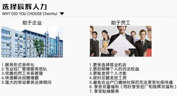 卓博人才招聘—引领行业，助力企业与人才的双赢之路卓博人才招聘网触屏版
