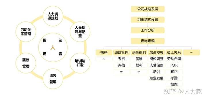 人力资源管理—企业成功的关键人力资源管理是做什么的工作