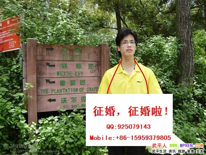 洛阳百姓征婚网