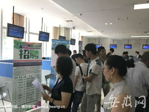 安徽人才市场招聘信息，求职者的新机遇与挑战安徽人才市场招聘信息最新