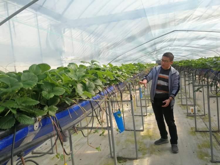 高端人才招聘—企业发展的关键一环高端人才招聘平台有哪些