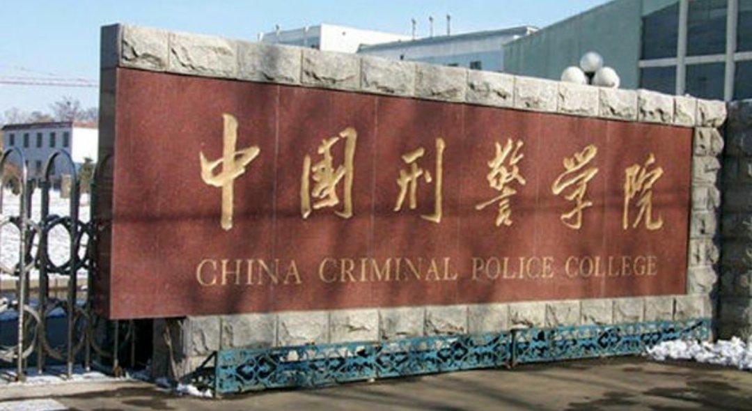 沈阳招聘网最新招聘2025公务员