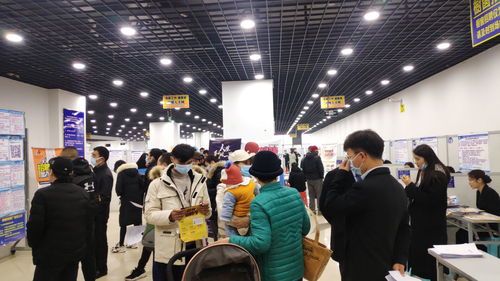 郑州市人才市场招聘会—汇聚英才，共筑未来郑州市人才市场招聘会时间地点
