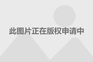 口碑最好的二手车平台—消费者首选的交易之选口碑最好的二手车平台知乎